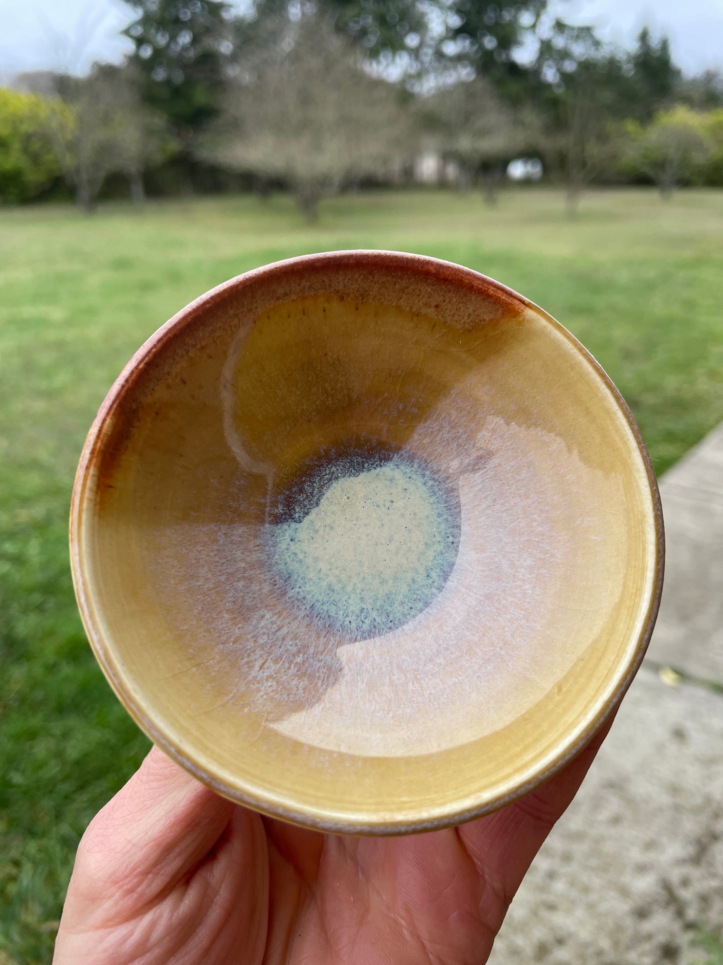 Matcha Facial Mask Kit